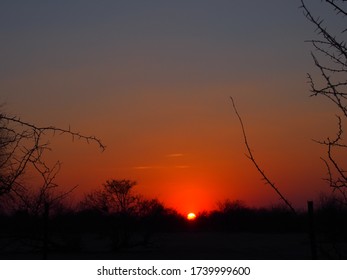 Sunset In Botswana, Planet Baobab, Botswana