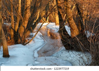 Sunset at a brookside with red painted trees in landscape orientation with ice