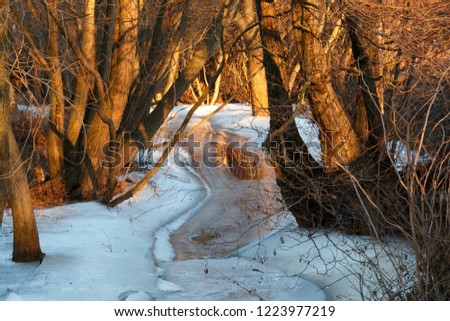 Sunset at a brookside with red painted trees in landscape orientation with ice
