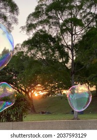 Sunset with bubbles while picnic