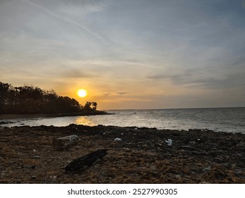 Sunset by the beach with palm trees and rocky shores, casting a golden hue over the ocean, creating a peaceful and tropical coastal view. - Powered by Shutterstock