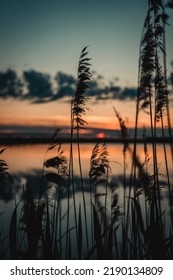 Sunset By Vättern In Sweden