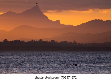 Sunset Byron Bay