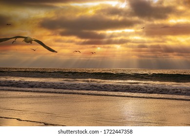 Sunset, California Cliffs And Torrey Pines State Beach Landscape Scenic View At La Jolla Shores North Of San Diego,USA