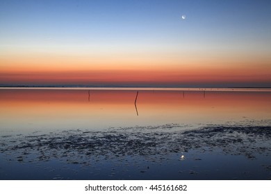 Sunset in the Camargue national park. Rhone Delta, Provence, France
