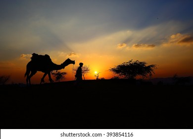 25,793 Camel sunset Images, Stock Photos & Vectors | Shutterstock