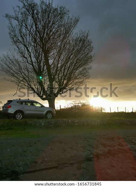 Sunset, car and tree on the\
lake