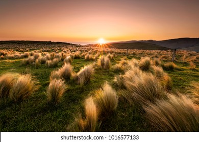 Sunset At Christchurch, NZ.