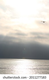 Sunset Cliffs, San Diego, CA 