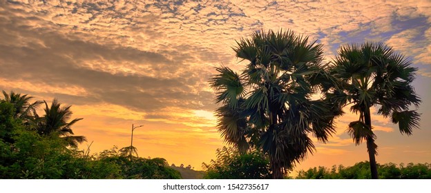 sunset with cloud and tree, awesome evening