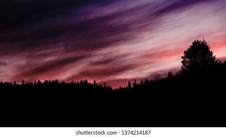 Sunset Clouds And Forest Silhouette