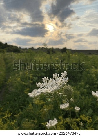 SUNSET CLOUDS HIDEN SUN CLOUDYSKY CLOUDS PLAY