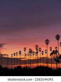 Sunset With Clouds and Palm Trees