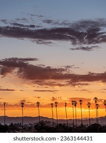 Sunset With Clouds and Palm Trees