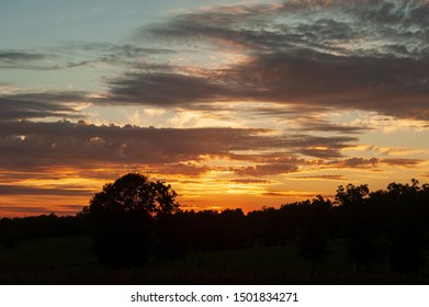 Sunset and clouds with trees