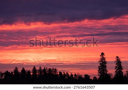 Sunset in a cloudy sky with deep red colours above a forest
