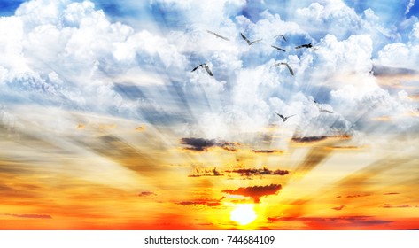 sunset of colors