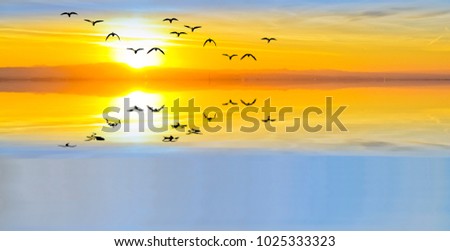 Similar – Image, Stock Photo towards the sun romantic