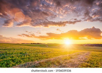 Sunset at cultivated land in the countryside on a summer evening with cloudy sky background. Landscape. - Powered by Shutterstock