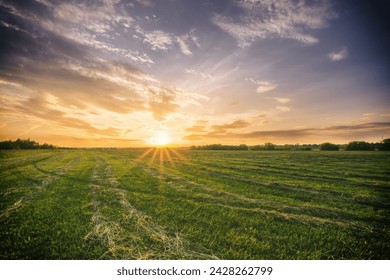 Puesta sol en tierra