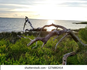 Sunset At Currituck Sound 