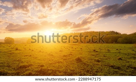 Similar – Image, Stock Photo Sunrise after rain