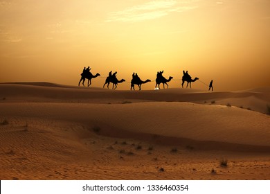 Arabian Desert Camels Images Stock Photos Vectors Shutterstock