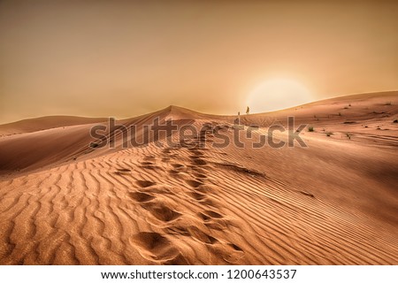 Sunset in the desert, Sunset in the desert  in Dubai UAE