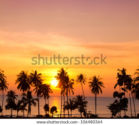 Sunset Divine Tree Silhouettes