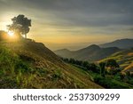 Sunset in Doi Phu Kha mountain in northern of Thailand ( Nan province). Amazing Thailand nature Landscape. Popular tourist attraction.Bast famous travel location. Running track of ultra trail Nan 2024