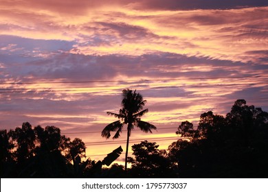 Sunset As It Draws Behind The Treeline Another Day Ends.