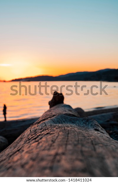 Sunset Dundarave Beach West Vancouver Trunk Stock Photo Edit Now