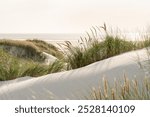 Sunset in the dunes of the North Sea