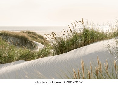 Sunset in the dunes of the North Sea - Powered by Shutterstock