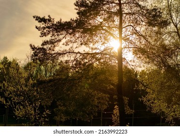 Sunset During Spring In Sherbrooke, Quebec, Canada.