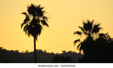 Sunset During Warm Summer Night