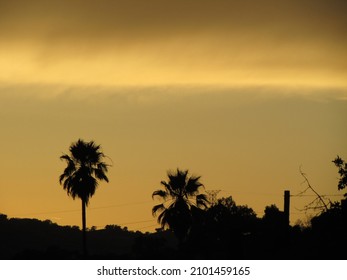 Sunset During Warm Summer Night