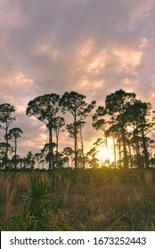 Sunset In Estero Bay Preserve State Park