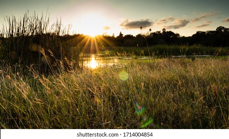 Sunset At Estero Llano Bird Sanctuary In South Texas, Near Weslaco.  