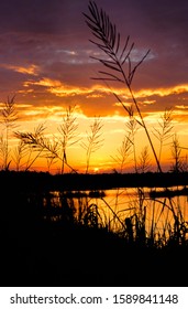 Sunset, Evening, Colleton County, South Carolina, Along US Route 17