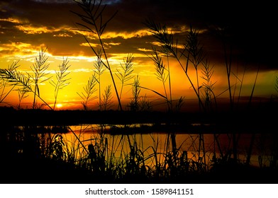 Sunset, Evening, Colleton County, South Carolina, Along US Route 17