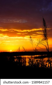 Sunset, Evening, Colleton County, South Carolina, Along US Route 17