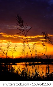 Sunset, Evening, Colleton County, South Carolina, Along US Route 17