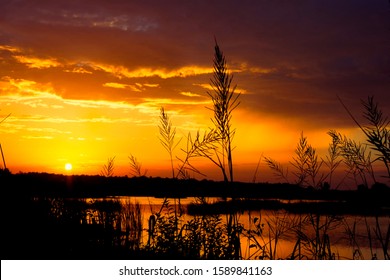 Sunset, Evening, Colleton County, South Carolina, Along US Route 17