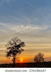Sunset in the evening, The lights of sun, Sun, Light, พระอาทิตย์ตกดิน, Homie, Thailand, Tree