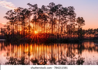 Sunset In The Everglades Of Florida