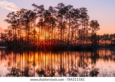 Sunset in the everglades of florida