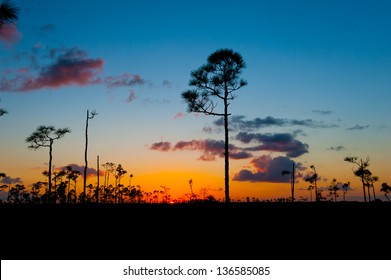 Sunset At Everglades National Park