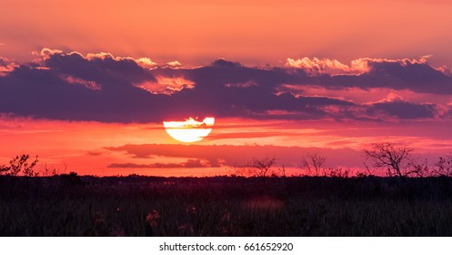 Sunset Everglades Sky 