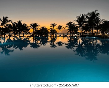 Sunset exotic palm tree reflection 